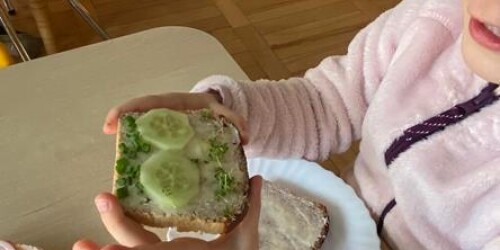 Zdrowe kanapka - pl