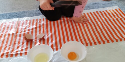 Eksperymenty z jajkiem - pl