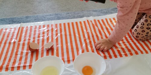 Eksperymenty z jajkiem - pl
